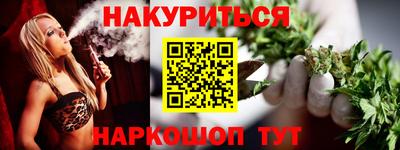 СК Гатчина
