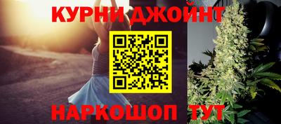 СК Гатчина