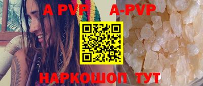 СК Гатчина