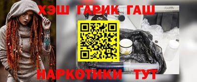 СК Гатчина