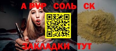 СК Гатчина
